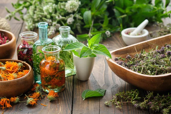 Flaschen Mit Ätherischem Oder Kräuteraufguss Ringelblume Minze Thuja Bergamotte Rosmarin — Stockfoto