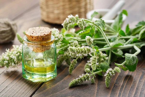 Eine Flasche Ätherisches Minzöl Tinktur Oder Infusion Und Blütenpfefferminzpflanzen Alternative — Stockfoto