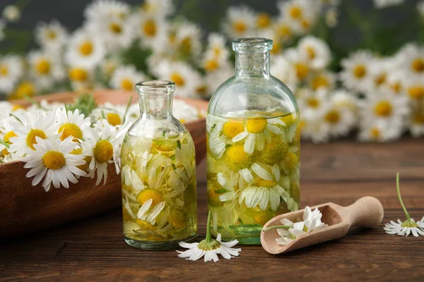 一盒瓶瓶的洋甘菊精油或注入 一束洋甘菊和一碗的菊花作为背景 替代草药 芳香疗法 — 图库照片