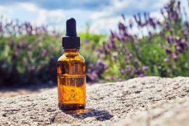 Bir şişe lavanta yağı. Arka planda açan lavanta çalıları.