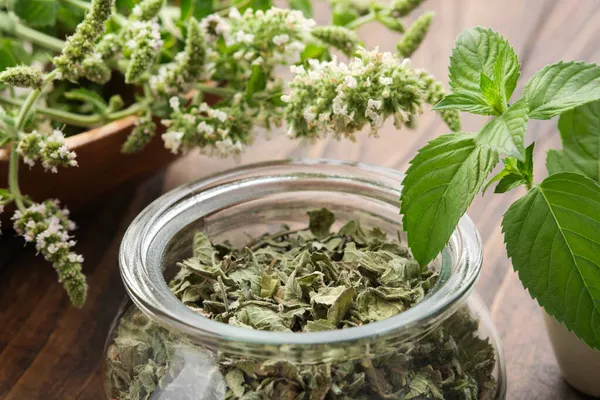 Glass Jar Dried Mint Leaves Wooden Bowl Blossom Peppermint Mortar — Stock Photo, Image