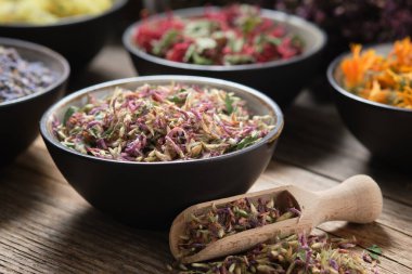 Bir kase kurumuş kırmızı yonca ve arka planda kurumuş şifalı bitkiler. Şifalı şifalı bitkiler. Alternatif bitkisel ilaç.