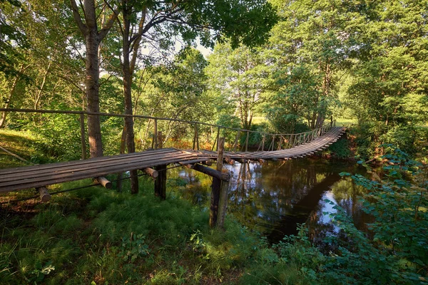 Holzhängebrücke Fußgängerhängebrücke Über Den Fluss Naroch Dorf Paromets Weißrussland — Stockfoto