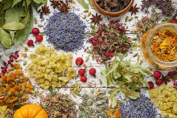 Medicinal Herbs Plants Roots Berries Ingredients Making Herbal Medicine Drugs — Stok fotoğraf