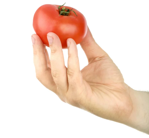 La main de l'homme tient une tomate rouge — Photo