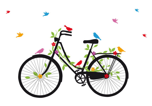 Old bicycle with birds, vector