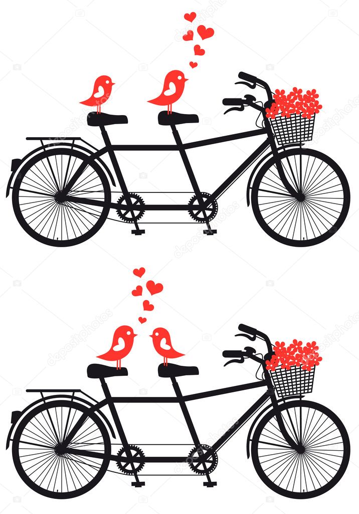 tandem bicycle with love birds, vector