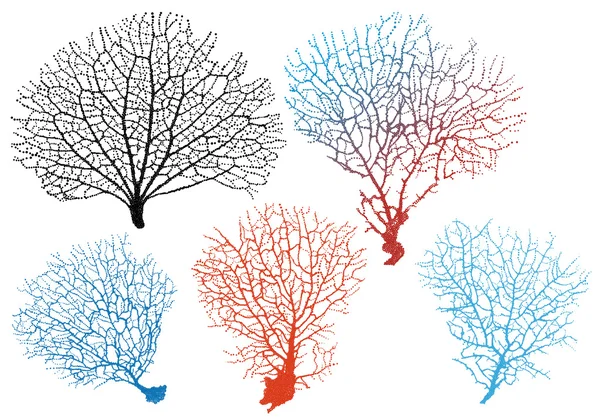 Corales ventilador de mar, conjunto de vectores — Archivo Imágenes Vectoriales
