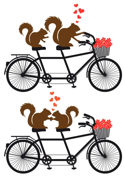 Esquilos apaixonados na bicicleta, vetor —  Vetores de Stock