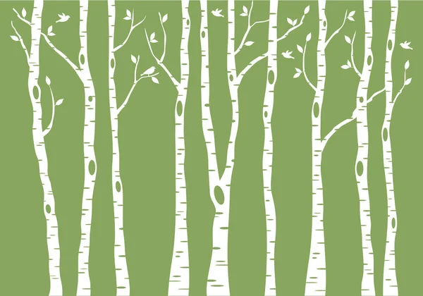 Bosque Abedules Con Aves Ilustración Vectorial Sobre Fondo Verde — Archivo Imágenes Vectoriales