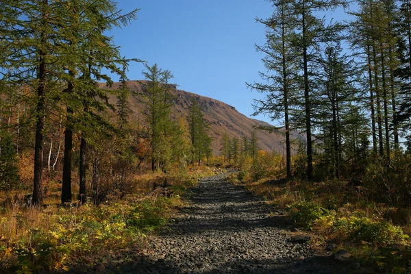 Steiniger Weg — Stockfoto