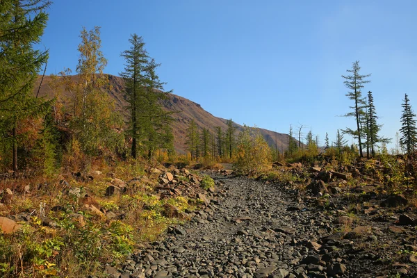 Steiniger Weg — Stockfoto