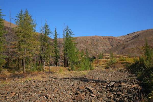 Steiniger Weg — Stockfoto