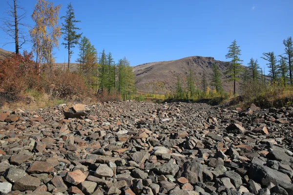 Opgedroogde rivier — Stockfoto