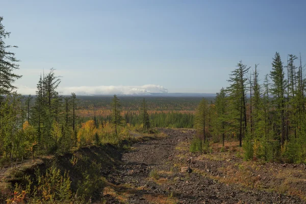 Naturaleza de Taimyr Fotos de stock libres de derechos