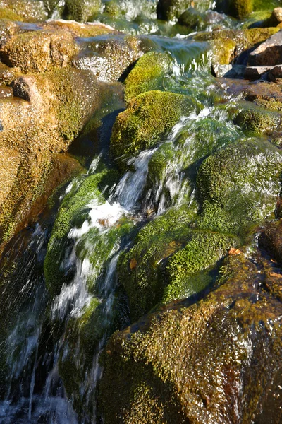 Rotsachtige creek Stockfoto