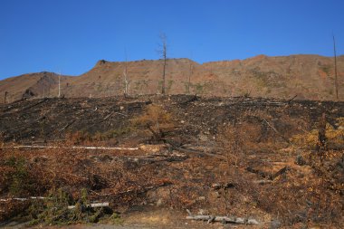 Yangından sonra tepe