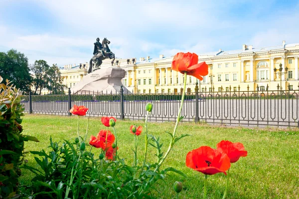 Monument Peter Great Red Flowers Green Grass Summer Wide Petersburg — Stock Photo, Image