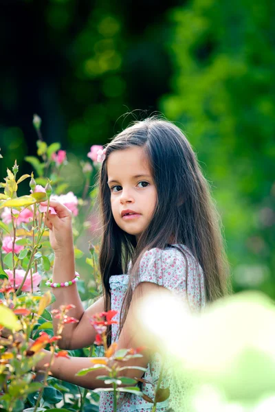 In park — Stock Photo, Image