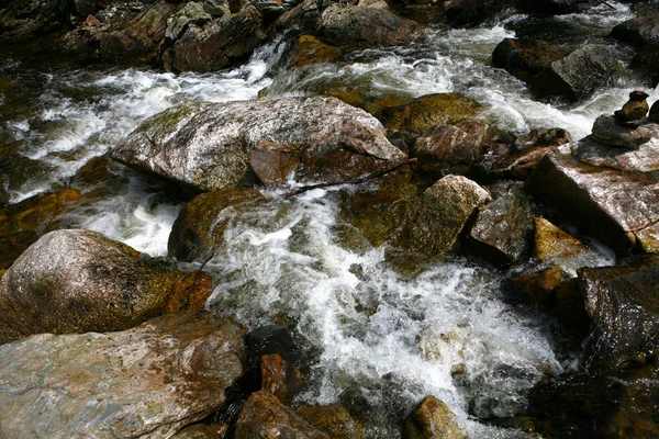 Las piedras en el río — Foto de Stock