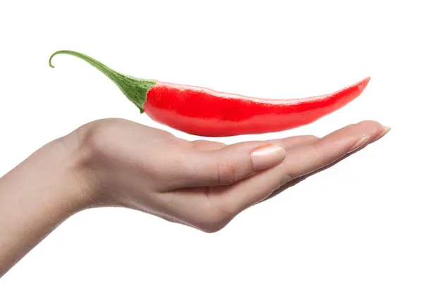 Peperoncino e mano umana isolati su bianco — Foto Stock