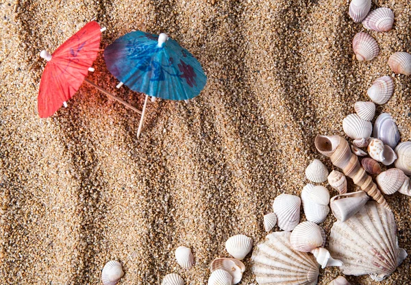 Frame from various shells on sand — Stock Photo, Image