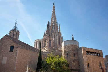 Gotik Barselona Katedrali (Santa Eulalia veya Santa Creu)