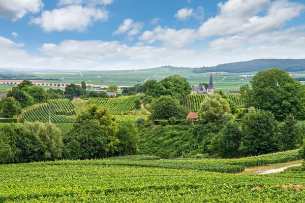 Weinbaulandschaft, montagne de reims, Frankreich — Stockfoto