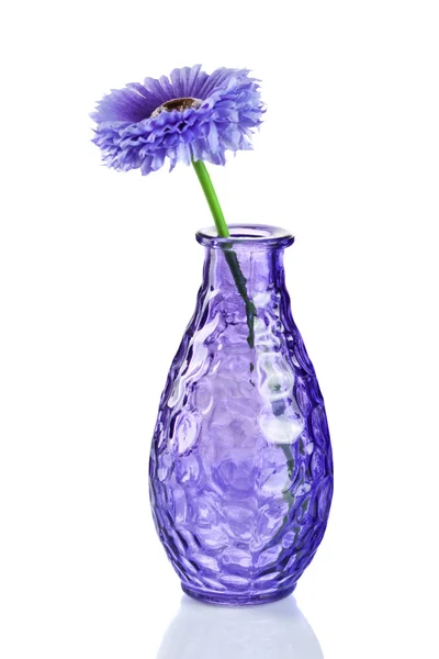 Blue flower in vase isolated on white — Stock Photo, Image