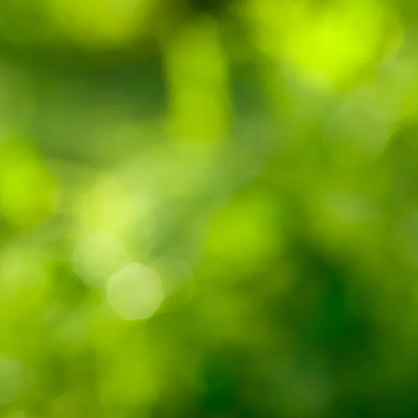 Astratto sfondo verde con bokeh naturale — Foto Stock