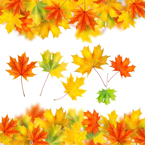 Quadro de folhas de outono isoladas em branco — Fotografia de Stock