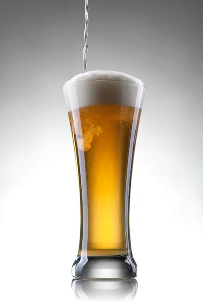 Birra in vetro su sfondo bianco — Foto Stock