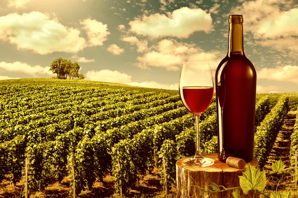 Glass and bottle of red wine against vineyard landscape Stock Image