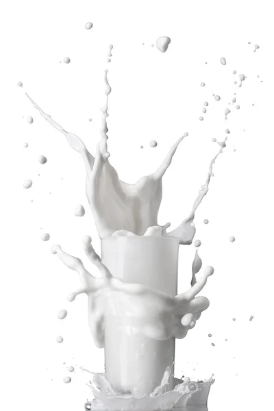 Milk splash in glass isolated on white background — Stock Photo, Image