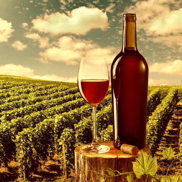 Γυαλί και μπουκάλι κόκκινο κρασί κατά αμπελουργικού τοπίου — Φωτογραφία Αρχείου
