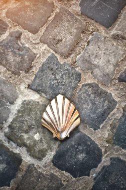 Santiago shell (Pilgrims shell), St James shell in Brussels, Bel clipart