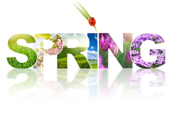 Spring word collage made of different photos isolated on white — Stok Foto