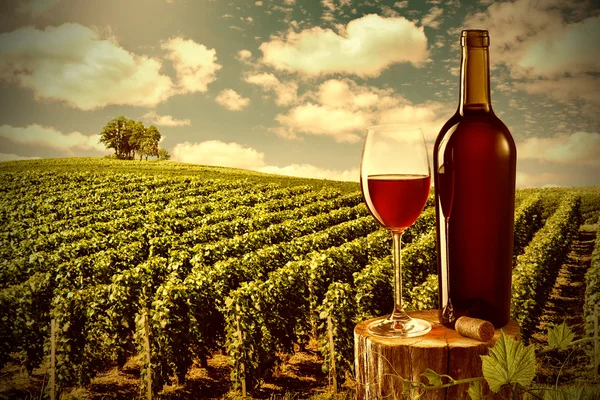Glass and bottle of red wine against vineyard landscape Stock Picture