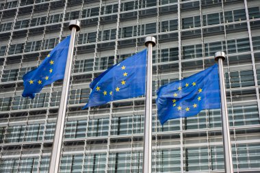 Avrupa Birliği bayrakları (Avrupa Bina berlaymont önünde