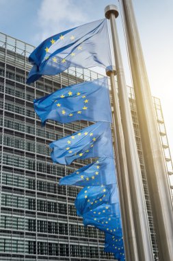 Avrupa Birliği bayrakları (Avrupa Bina berlaymont önünde
