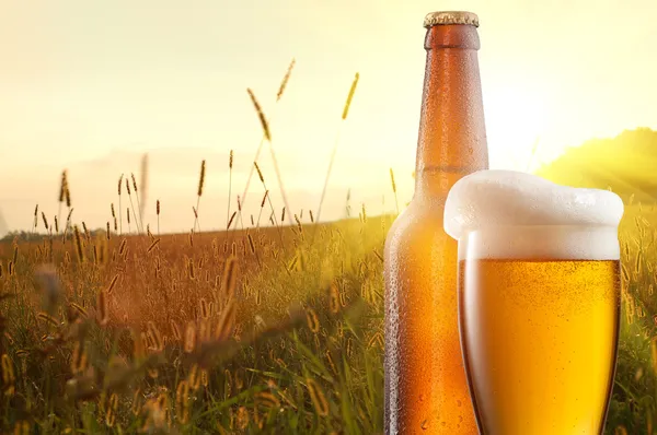 Glas bier en fles tegen tarweveld en zonsondergang — Stockfoto