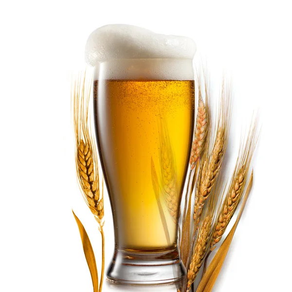 Beer in glass and wheat isolated on white background — Stock Photo, Image