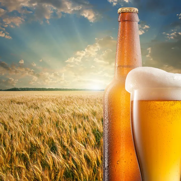 Glas bier en fles tegen tarweveld en zonsondergang — Stockfoto
