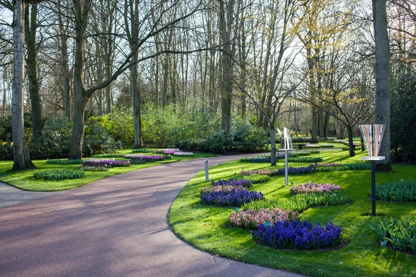 Slavné květiny parku keukenhof v Nizozemsku také známý jako g — Stock fotografie