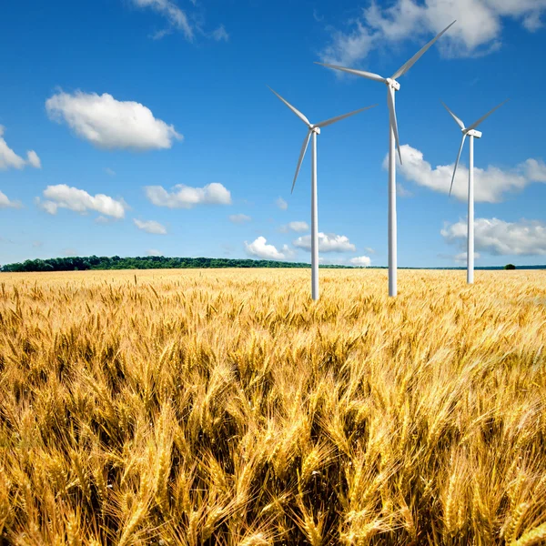 Vindgeneratorturbiner på vetefält — Stockfoto