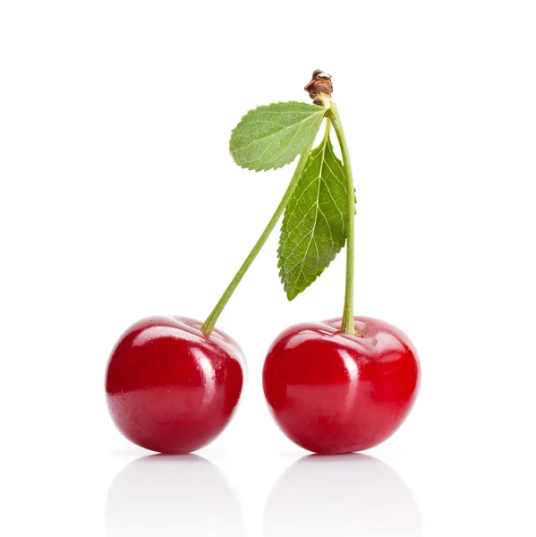 Two perfect sweet cherries with the leaf. — Stock Photo © Valentyn