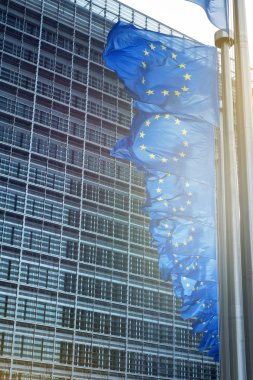 Berlaymont önünde Avrupa Birliği bayrakları