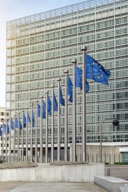 Berlaymont önünde Avrupa Birliği bayrakları