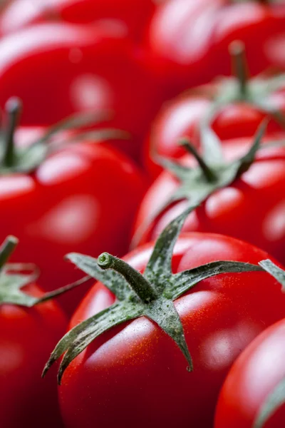 Czerwone pomidory w tle — Zdjęcie stockowe