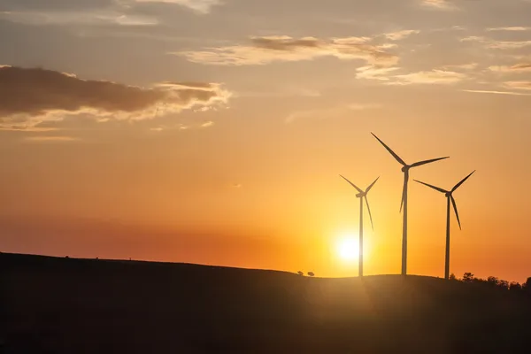 Wind generator turbines on sunset — Stock Photo, Image